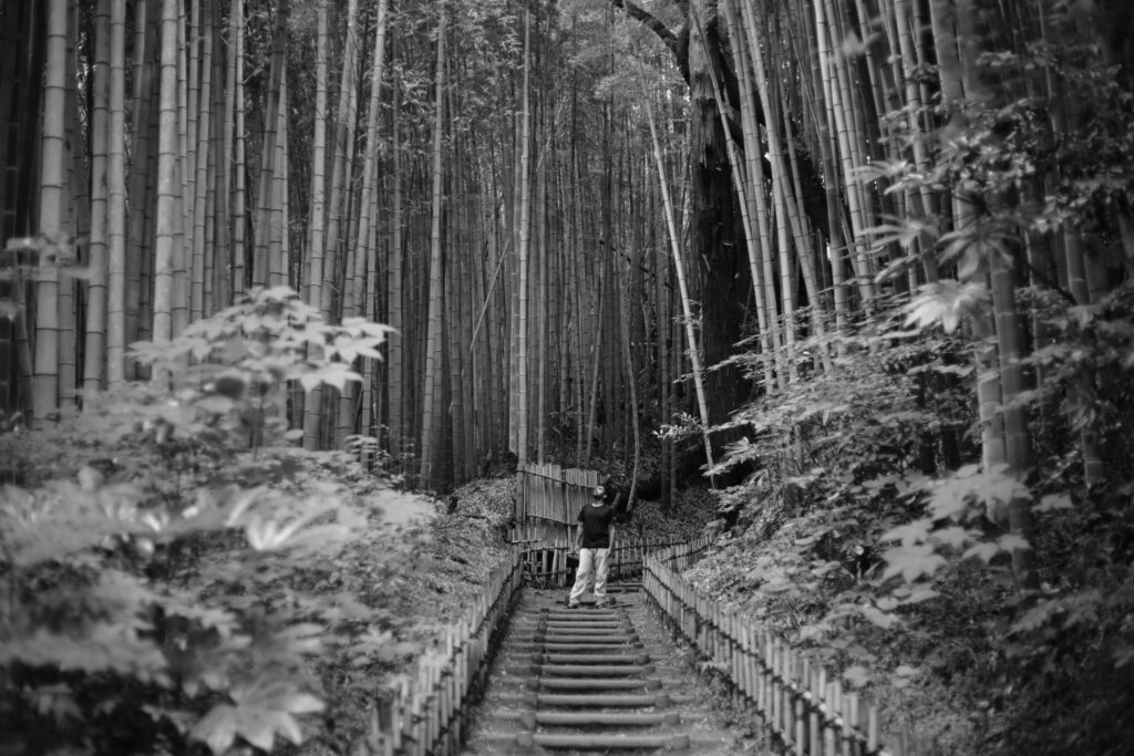 Hiyodori-Zaka img 5008